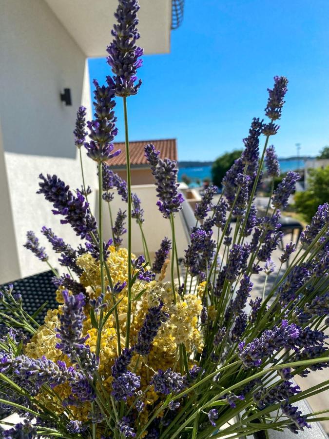 Apartments Dalmatino Водице Екстер'єр фото